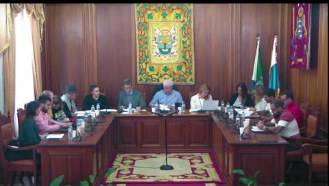 Pleno Ordinario 24/04/2025