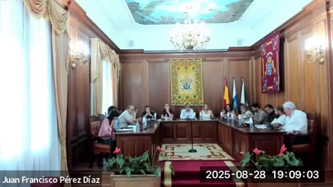 Pleno Ordinario 28/08/2025